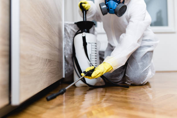 Best Residential Pest Control  in Stockdale, TX